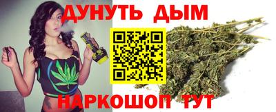 МДПВ Бердск