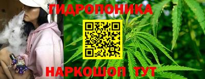 МДПВ Бердск