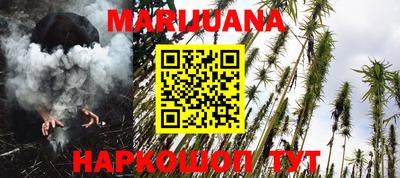 МДПВ Бердск