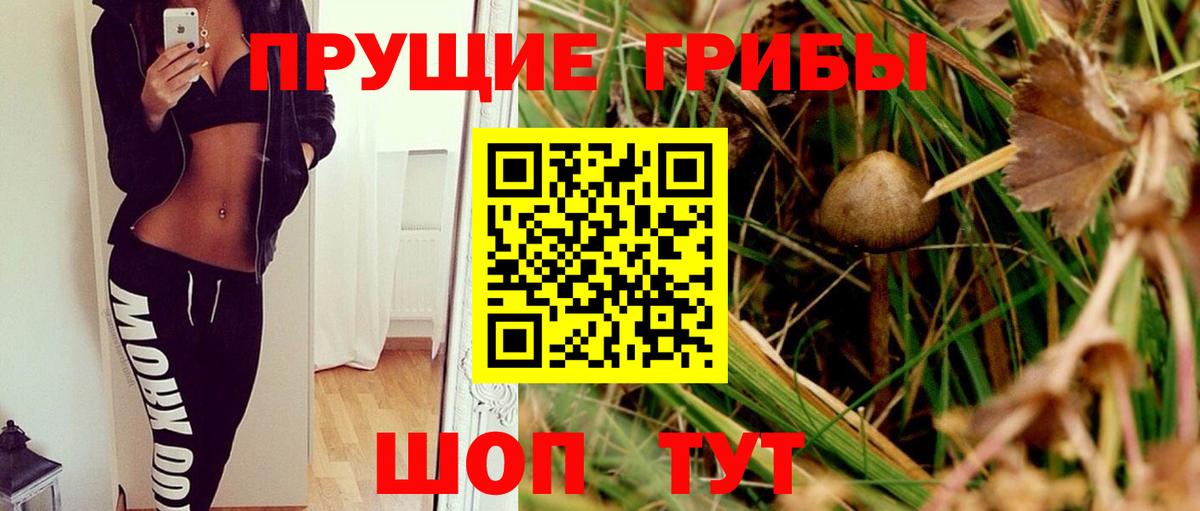Псилоцибиновые грибы MAGIC MUSHROOMS Новокубанск